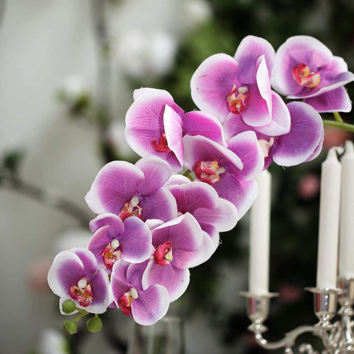 2 Stems - 40inch White/Purple Artificial Long Stem Orchids - Silk Flowers Orchid Bouquet