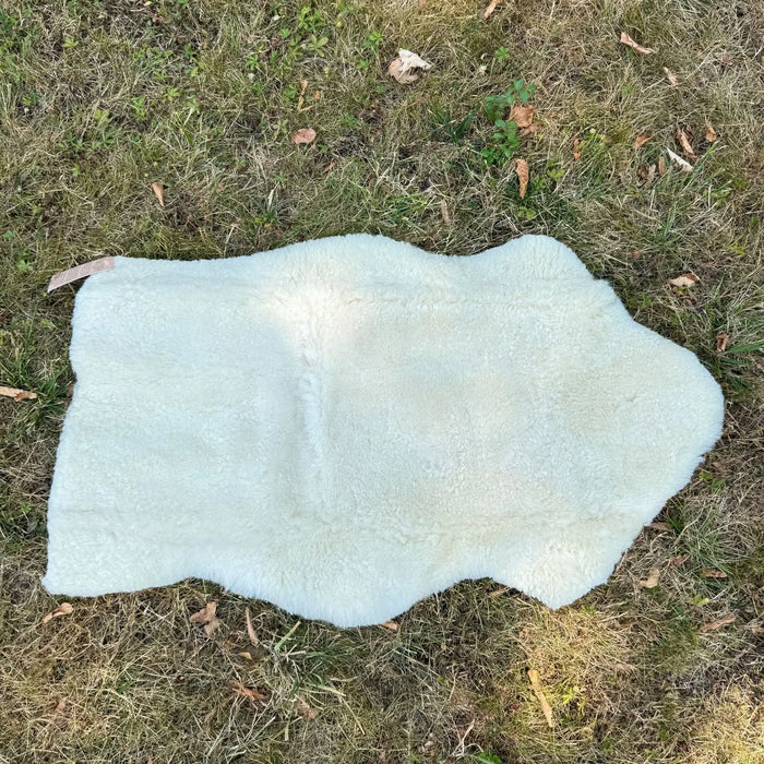 Peau d’agneau Mimosa à tannage végétal Kaiser - 80-90cm