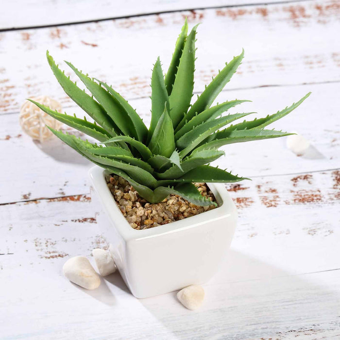 Set of 3 | 5" Assorted Spotted Aloe Vera Artificial Plants with Pots