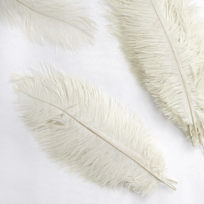 12 Pack | 13"-15" Natural Plume Real Ostrich Feathers Vase Centerpiece - Cream / Ivory