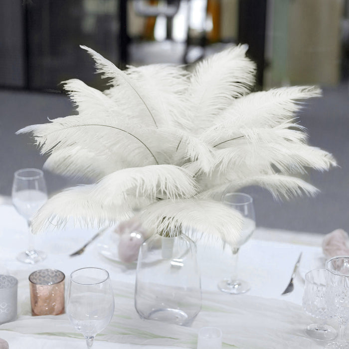 12 Pack | 13"-15" Natural Plume Real Ostrich Feathers Vase Centerpiece - Cream / Ivory