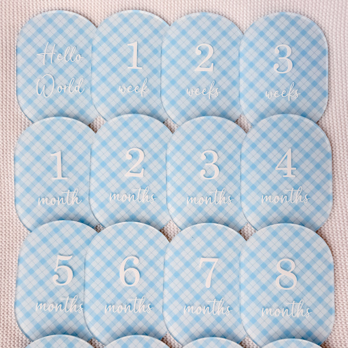 BLUE PLAID MILESTONE SET OVAL | UV Printed Acrylic
