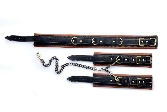 Coax Collar to Wrist Restraints Image 4