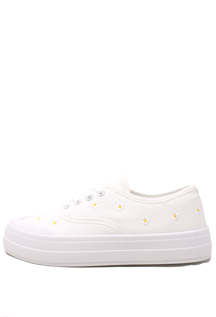 Daisy Trainer