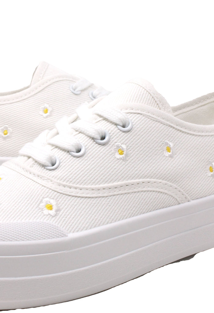 Daisy Trainer