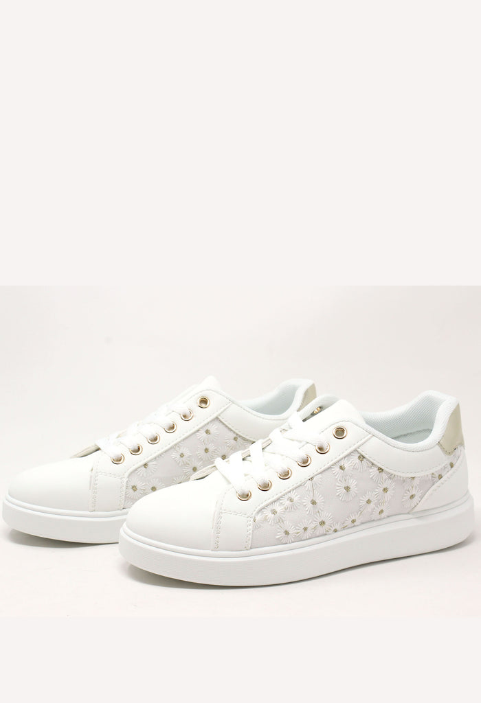 Daisy Trainer