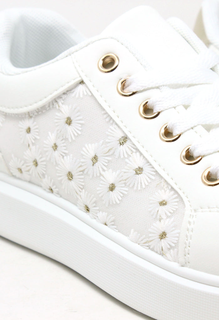Daisy Trainer