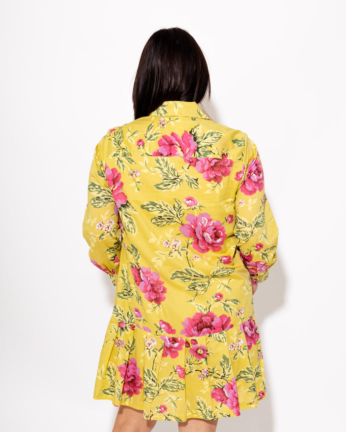 Ivy Jane | Rose Pleated Shirt Dress