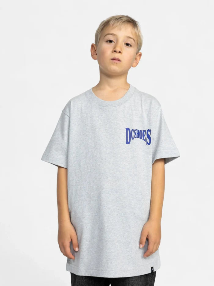 Remera DC Niño Members Only Gris