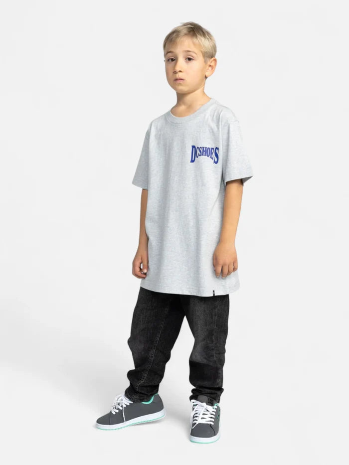 Remera DC Niño Members Only Gris
