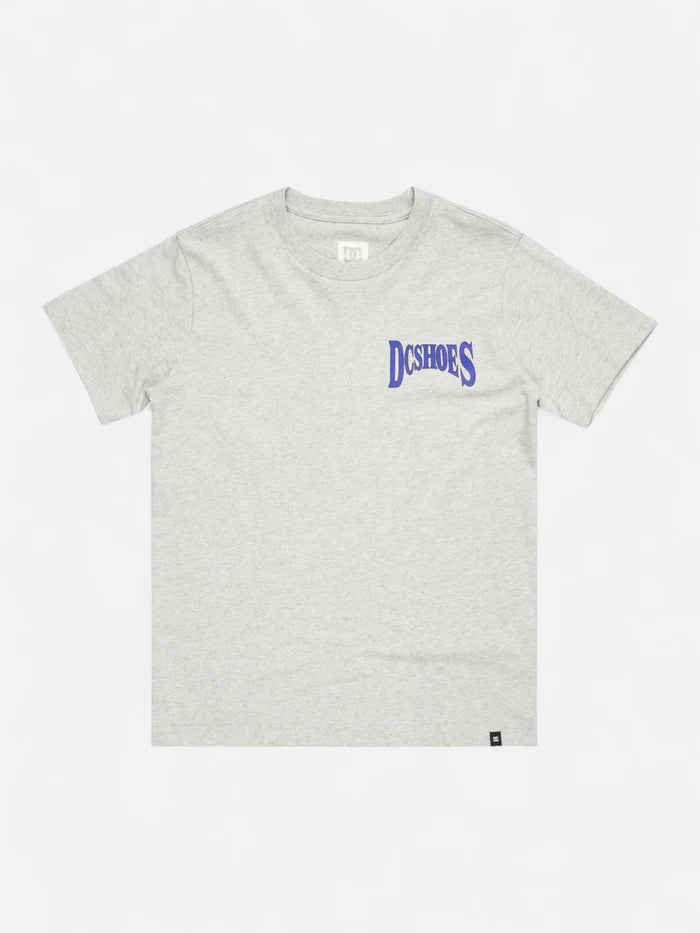 Remera DC Niño Members Only Gris
