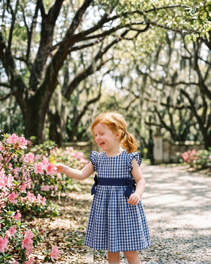 Royal Blue Gingham A - Line Dress - Lil Cactus