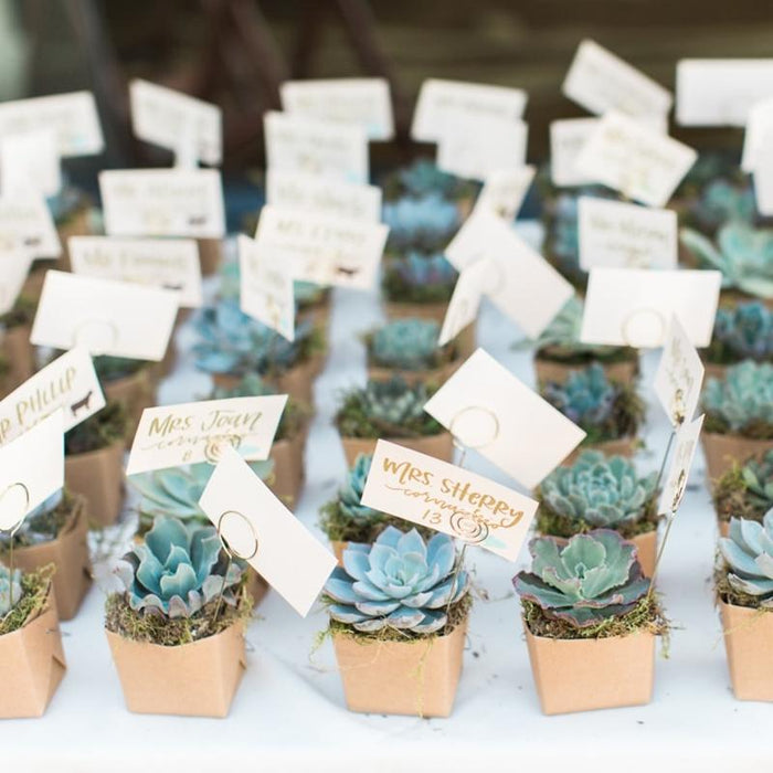 Set of 3 | 4'' Assorted Echeveria Artificial Plants with Pots
