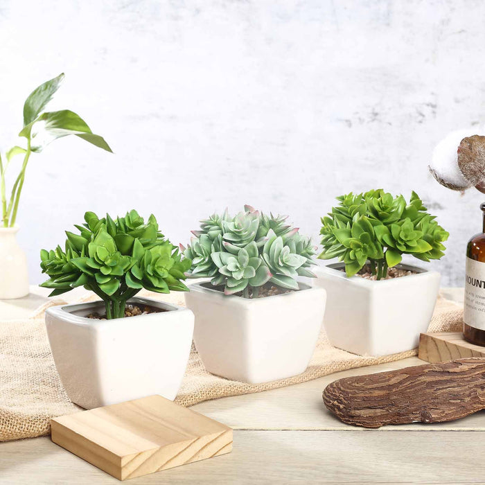 Assorted Fake Succulents in Pot | 4'' Assorted Green Echeveria Artificial Plants with Pots