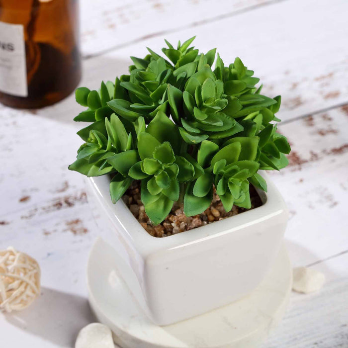 Set of 3 | 4'' Assorted Green Echeveria Artificial Plants with Pots