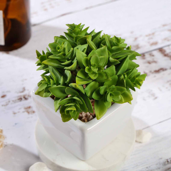 Set of 3 | 4'' Assorted Green Echeveria Artificial Plants with Pots