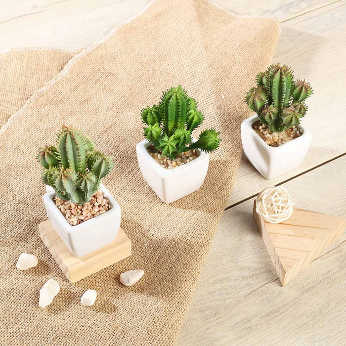 Set of 3 | 5" Assorted Cactus Artificial Plants with Pots