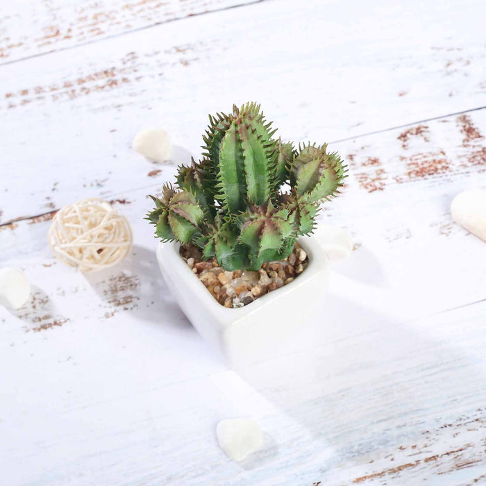 Set of 3 | 5" Assorted Cactus Artificial Plants with Pots