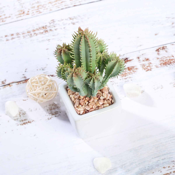 Set of 3 | 5" Assorted Cactus Artificial Plants with Pots