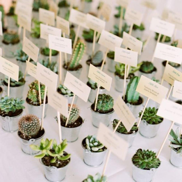 Set of 3 | 5" Assorted Cactus Artificial Plants with Pots