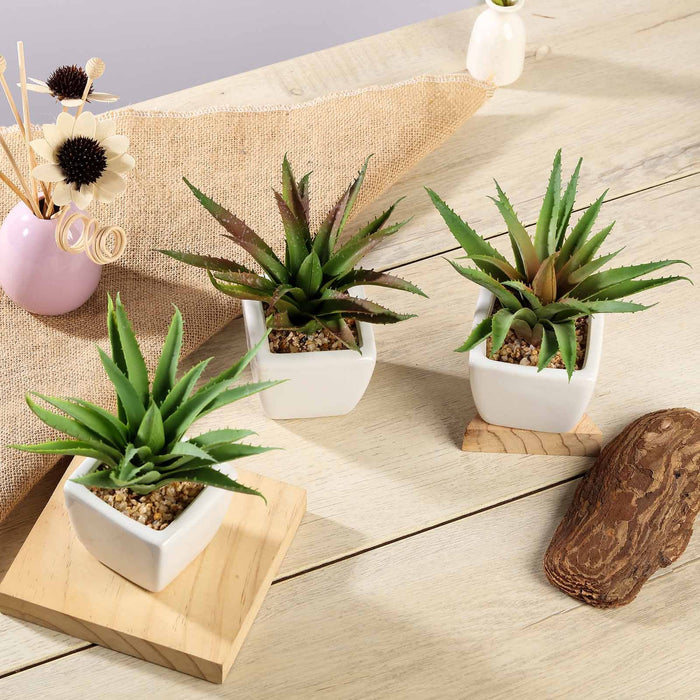 Assorted Fake Succulents in Pot | 5" Assorted Spotted Aloe Vera Artificial Plants with Pots