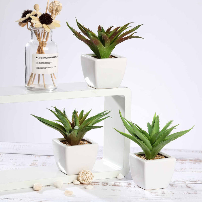 Set of 3 | 5" Assorted Spotted Aloe Vera Artificial Plants with Pots