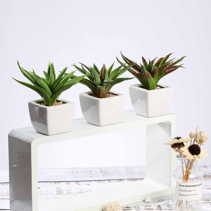 Set of 3 | 5" Assorted Spotted Aloe Vera Artificial Plants with Pots