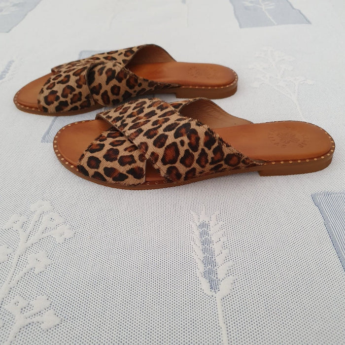 sc:/2/0/20240611_161245.jpg